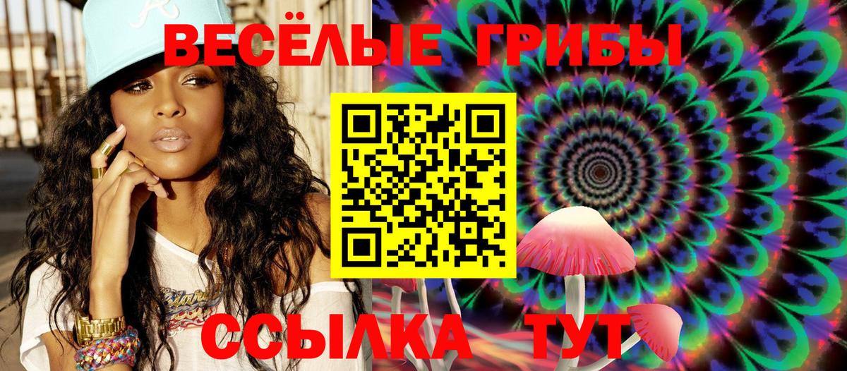 Псилоцибиновые грибы GOLDEN TEACHER  Вход с VPN  Петрозаводск 
